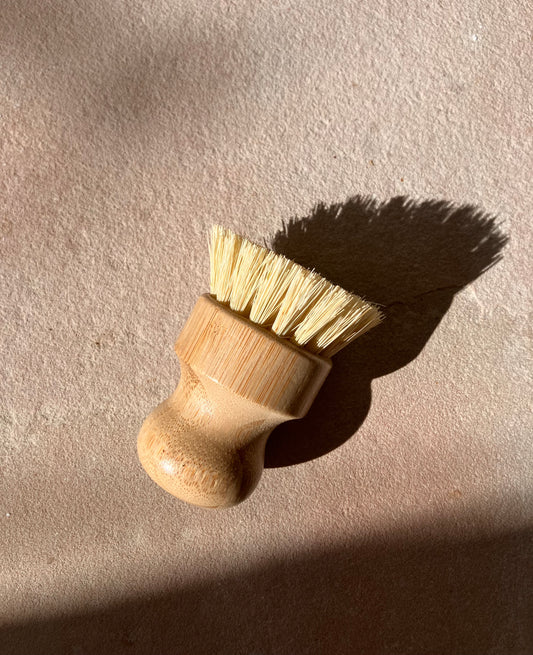 Dish Scrub Brush