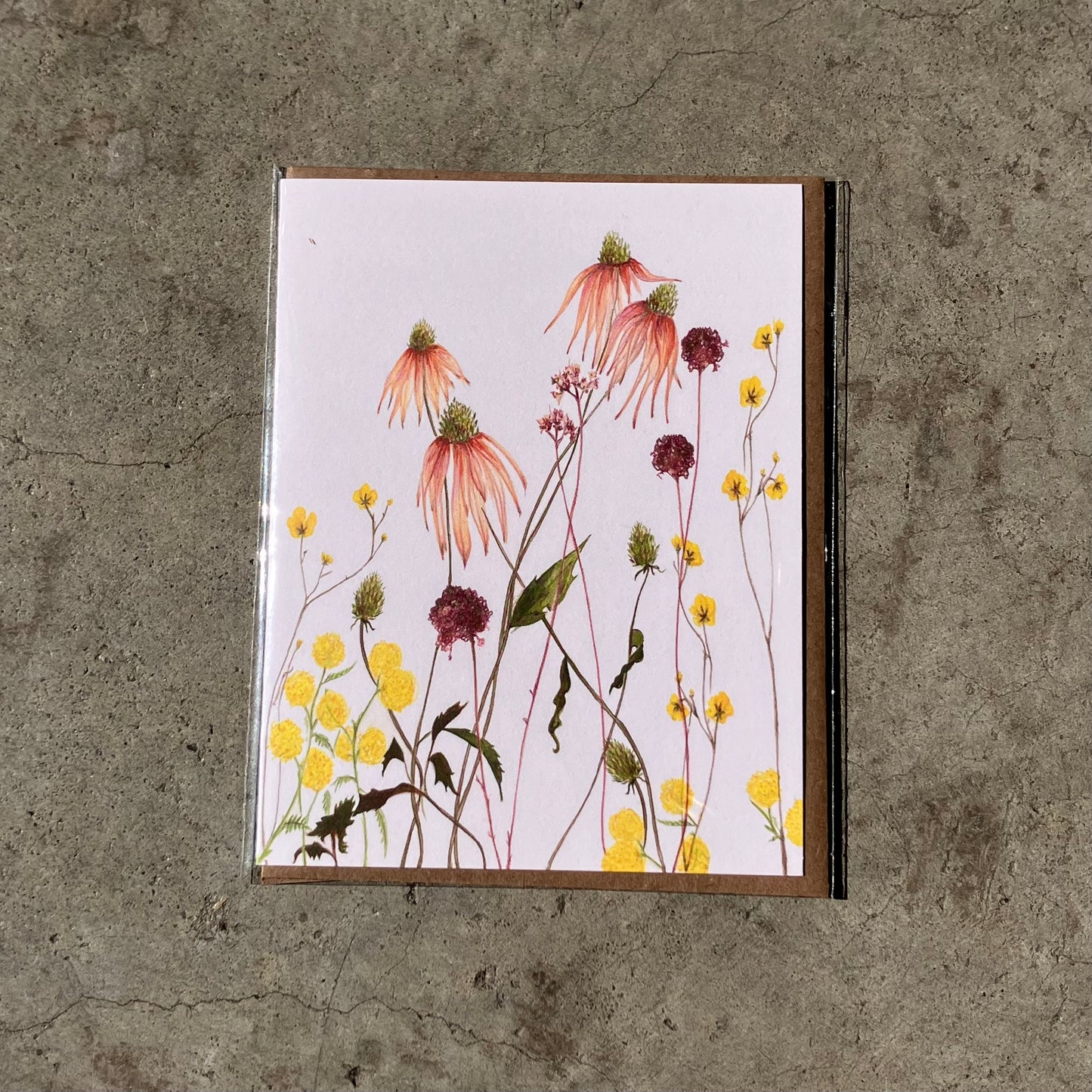 Elana Gabrielle Notecards