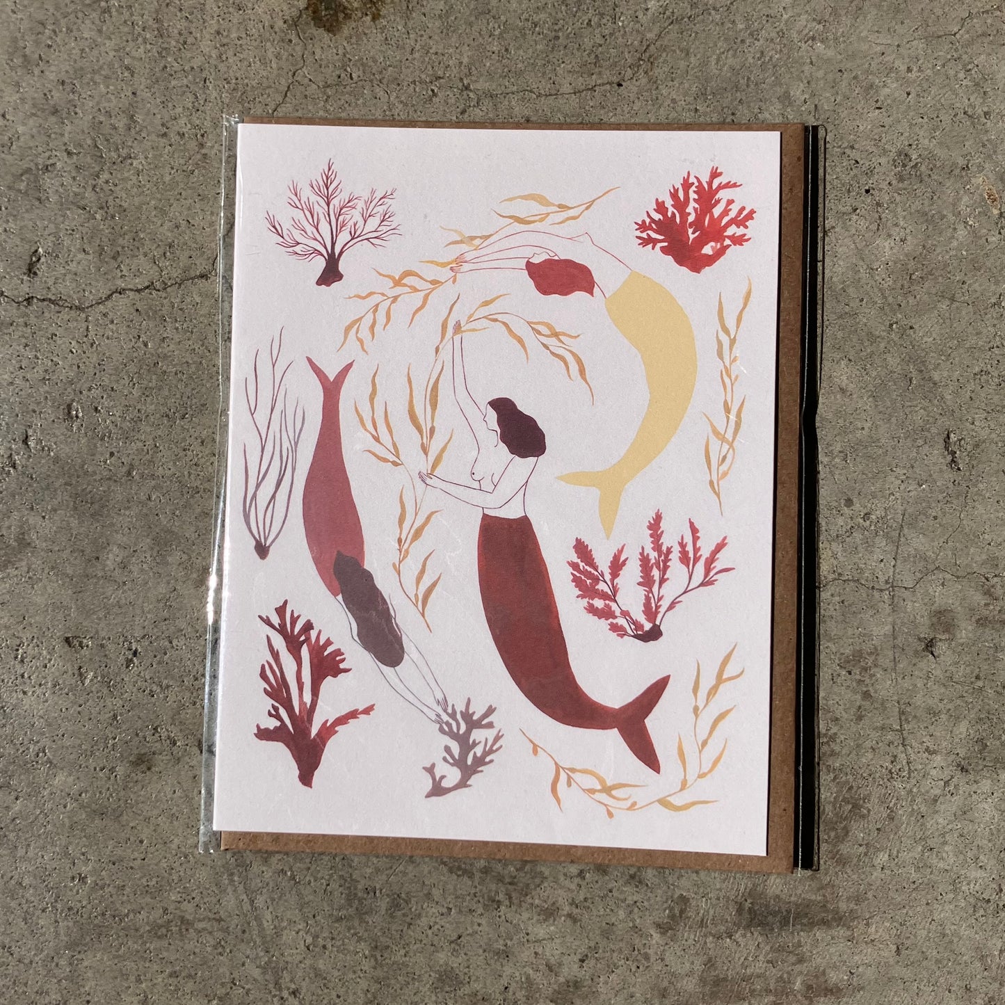 Elana Gabrielle Notecards