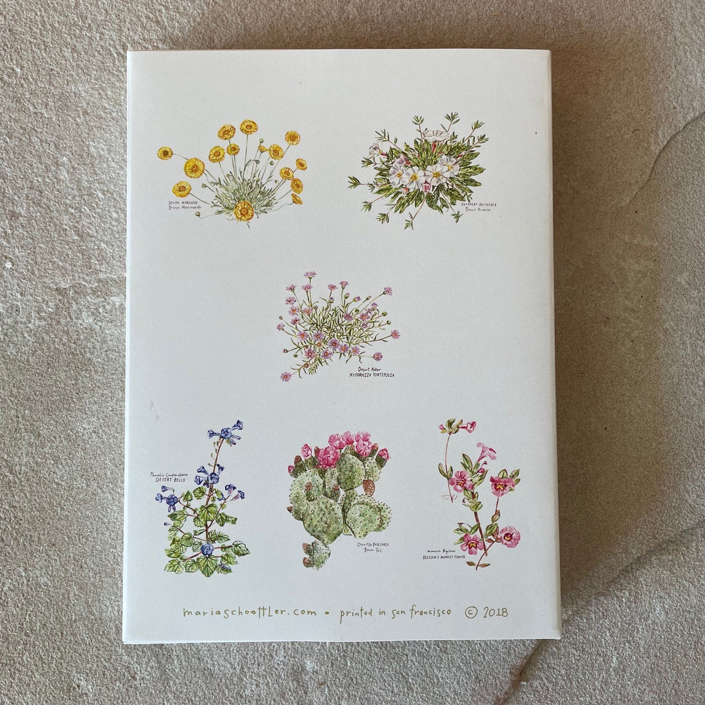 Desert in Bloom Card Set